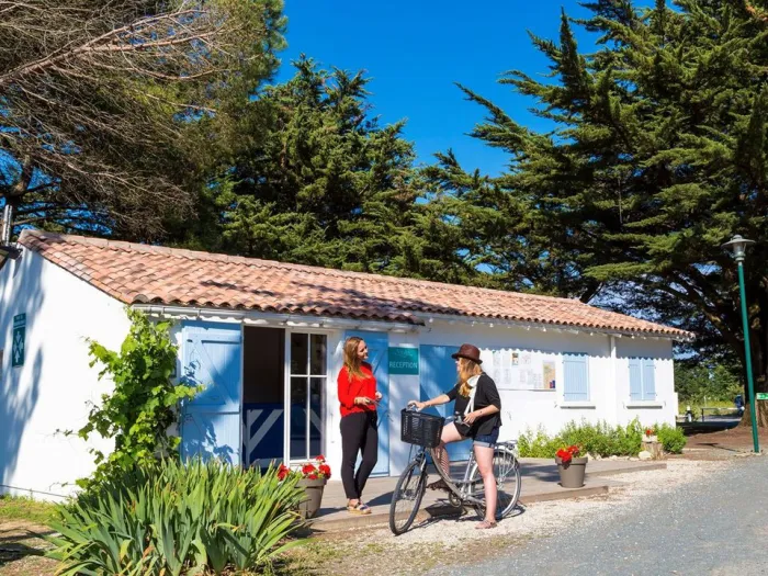 Camping - Le Bois-Plage-en-Ré - Poitou-Charentes - Tamarins Plage