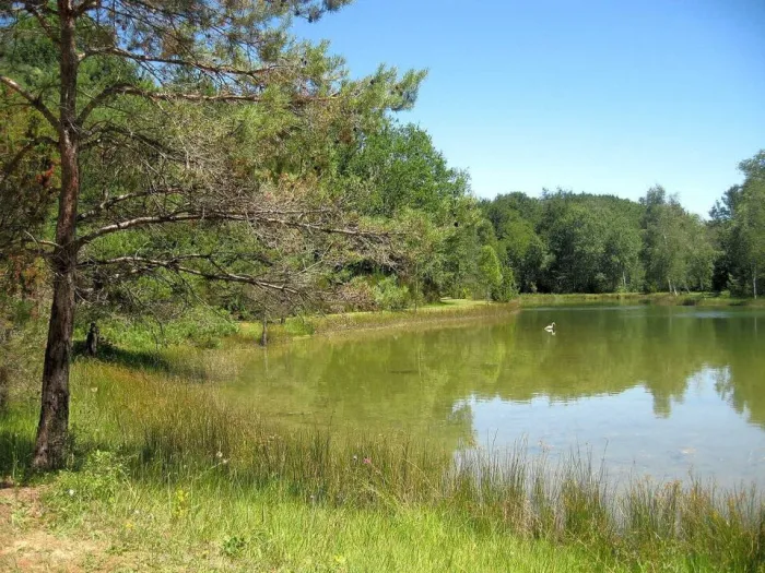 Camping - Vieux-Mareuil - Aquitaine - Etang Bleu