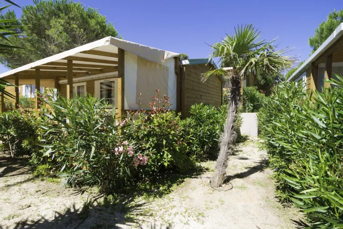 Camping - Hyères - Provence-Alpes-Côte d'Azur - Camping Les Salines - îlot Eurosurf