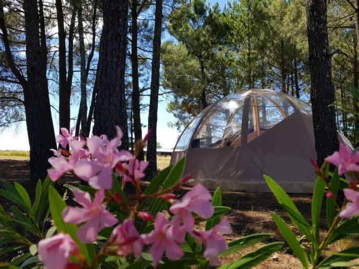 Camping - Lablachère - Rhône-Alpes - Hello Soleil