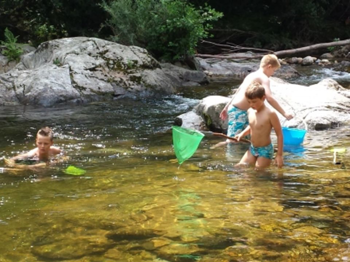 Camping - Saint-Sauveur-de-Montagut - Rhône-Alpes - L'Ardéchois