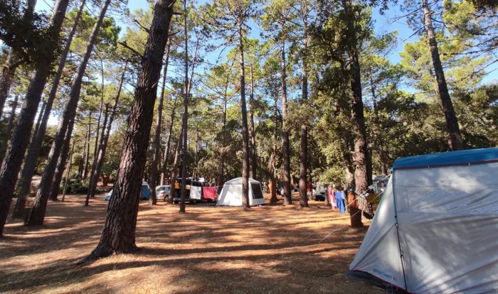 Camping - Porto-Vecchio - Corse - L'Arutoli