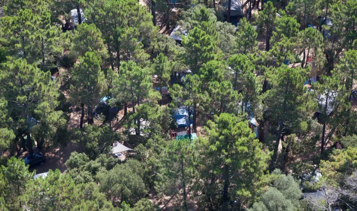 Camping - Porto-Vecchio - Corse - L'Arutoli