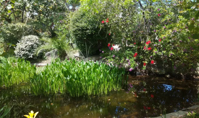 Camping - Porto-Vecchio - Corse - L'Arutoli