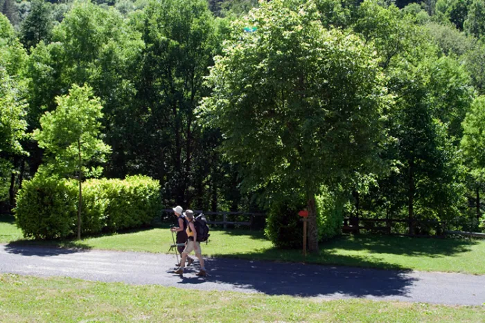 Camping - Cassagnas - Languedoc-Roussillon - L'espace Stevenson