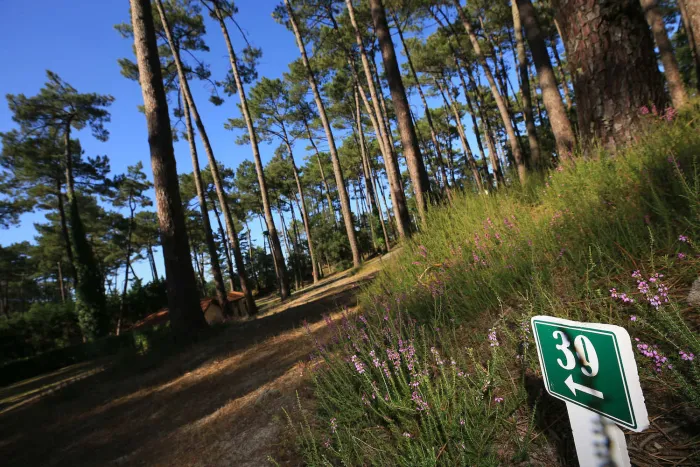 Camping - Seignosse - Aquitaine - l'Etang Blanc