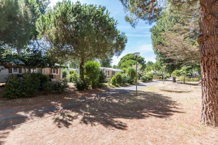 Camping - Sérignan - Languedoc-Roussillon - L'Etoile de Mer - Image #18