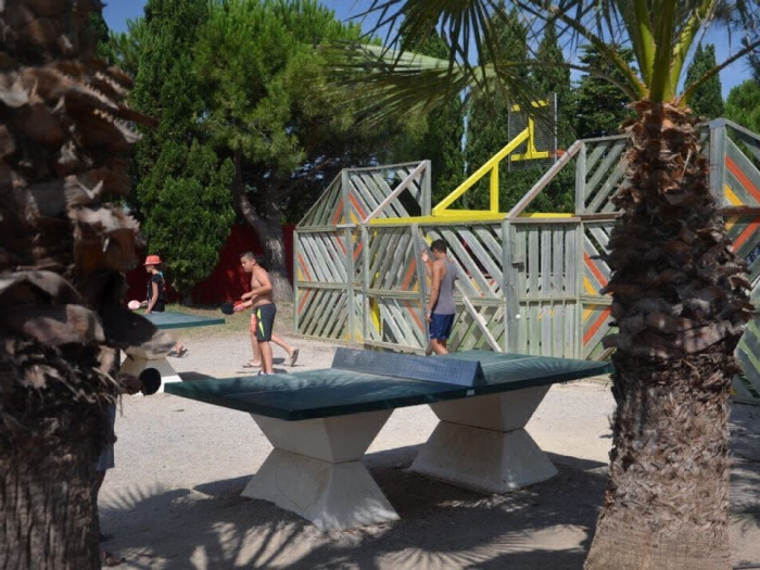 Camping - Lattes - Languedoc-Roussillon - L'Oasis Palavasienne - Image #5