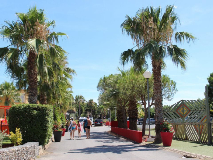 Camping - Lattes - Languedoc-Roussillon - L'Oasis Palavasienne - Image #7