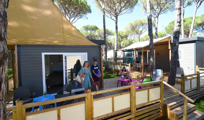 Camping - Puget-sur Argens - Provence-Alpes-Côte d'Azur - La Bastiane