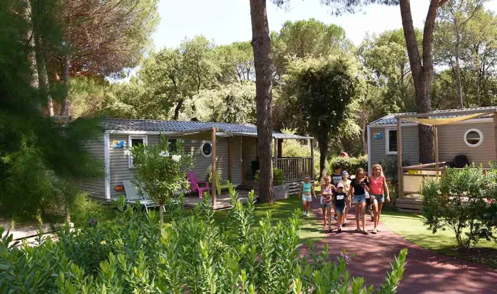 Camping - Puget-sur Argens - Provence-Alpes-Côte d'Azur - La Bastiane