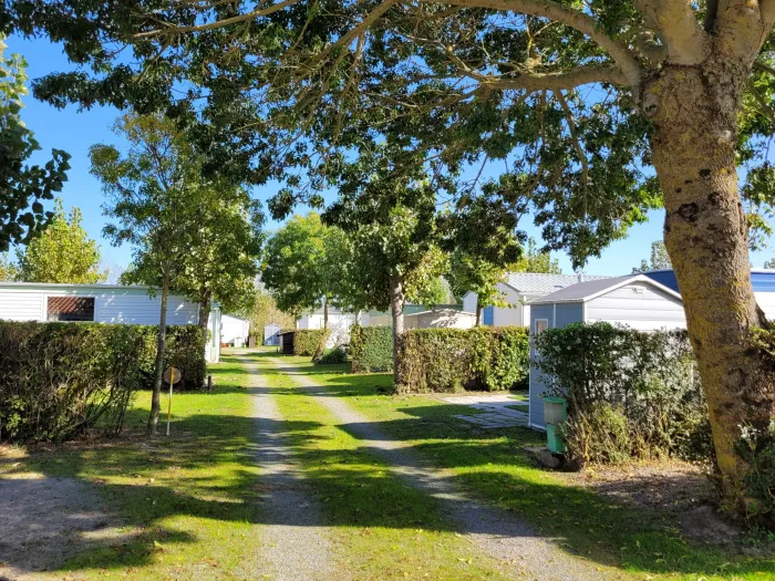Camping - Saint-Jean-de-Monts - Pays de Loire - A La Belle Etoile