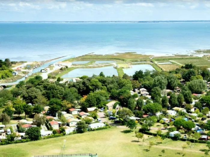 Camping - Le Château-d'Oléron - Poitou-Charentes - La Brande