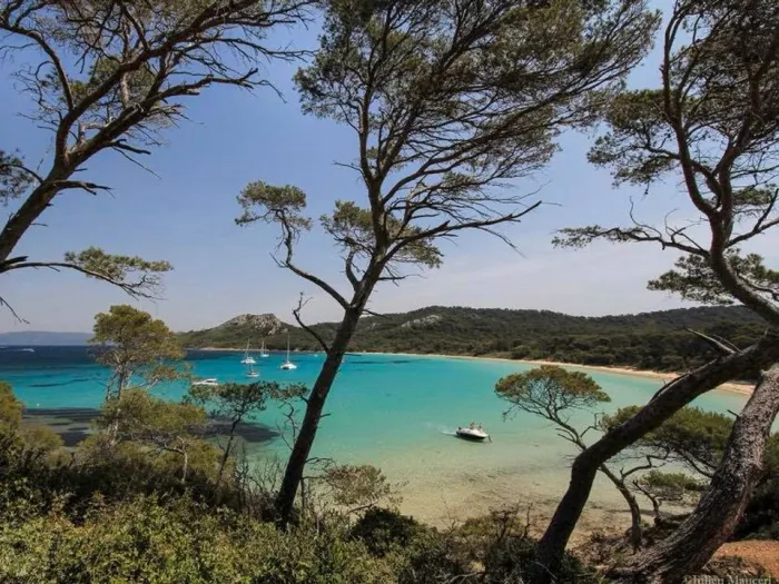 Camping - La Londe-les-Maures - Provence-Alpes-Côte d'Azur - La Brûlade