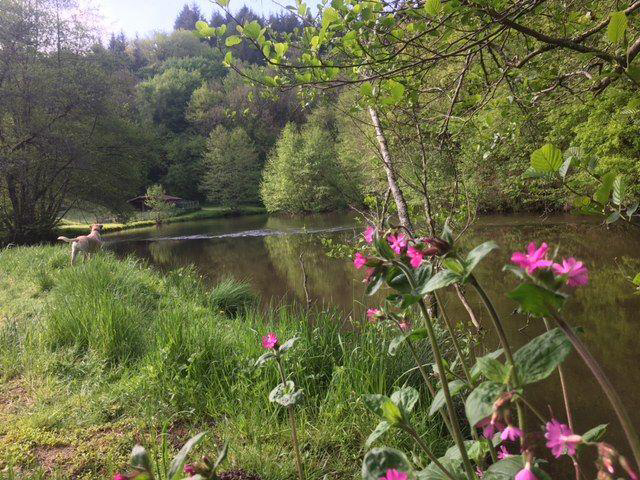 Camping La Chatonnière - Jumilhac-le-Grand