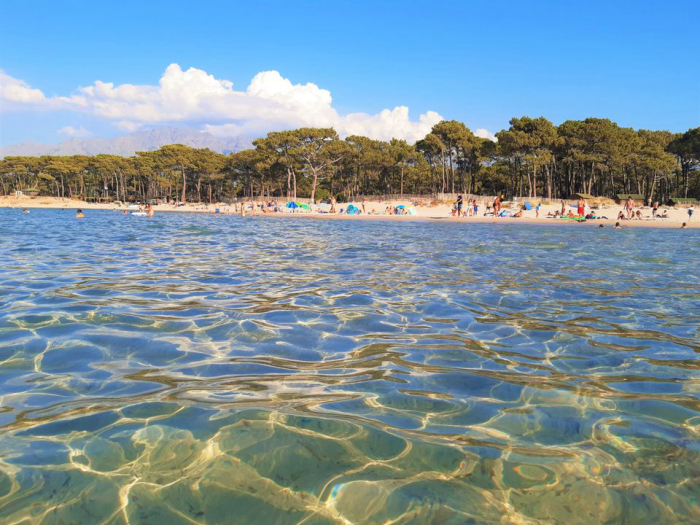 Camping - Calvi - Corse - La Dolce Vita - Image #2