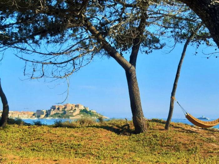 Camping - Calvi - Corse - La Dolce Vita - Image #6