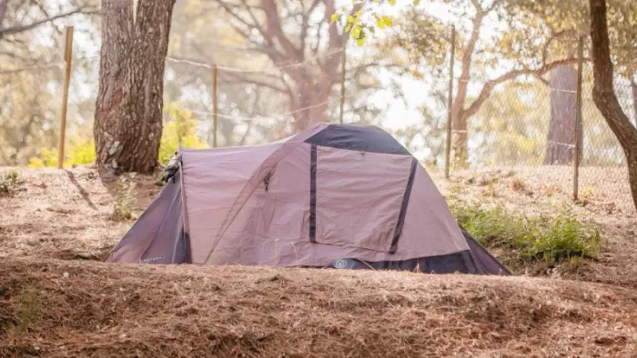 Camping - Ramatuelle - Provence-Alpes-Côte d'Azur - La Douceur