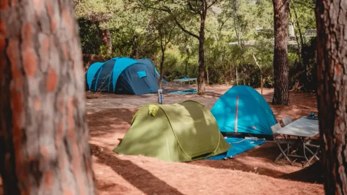 Camping - Ramatuelle - Provence-Alpes-Côte d'Azur - La Douceur