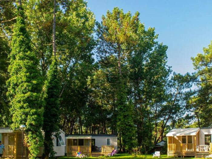 Camping - Camiers - Nord-Pas de Calais - La Dune Blanche - Image #2