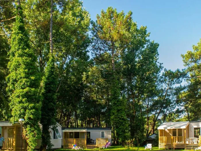 Camping - Camiers - Nord-Pas de Calais - La Dune Blanche