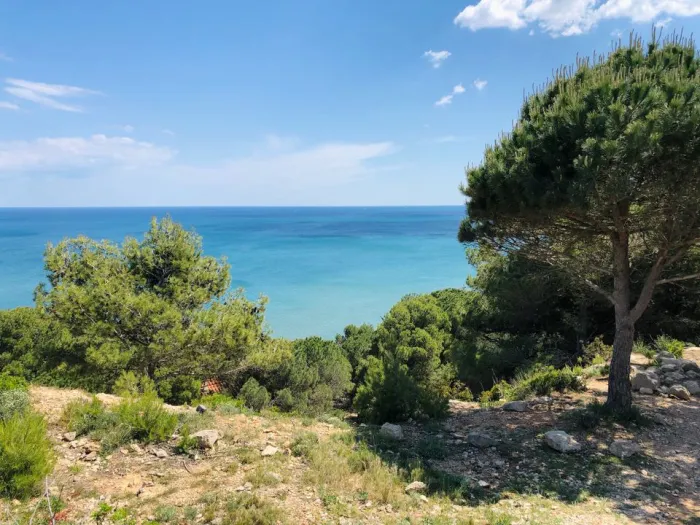 Camping - Sigean - Languedoc-Roussillon - La Grange Neuve