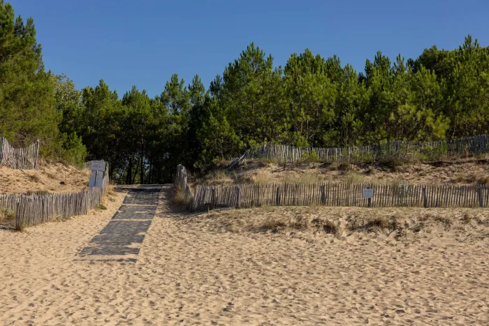 Camping - La Tranche-sur-Mer - Pays de Loire - La Grière