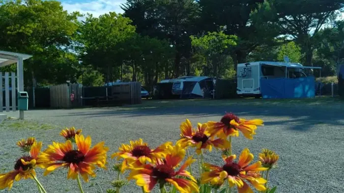 Camping - Notre-Dame-de-Monts - Pays de Loire - La Paree Chalons