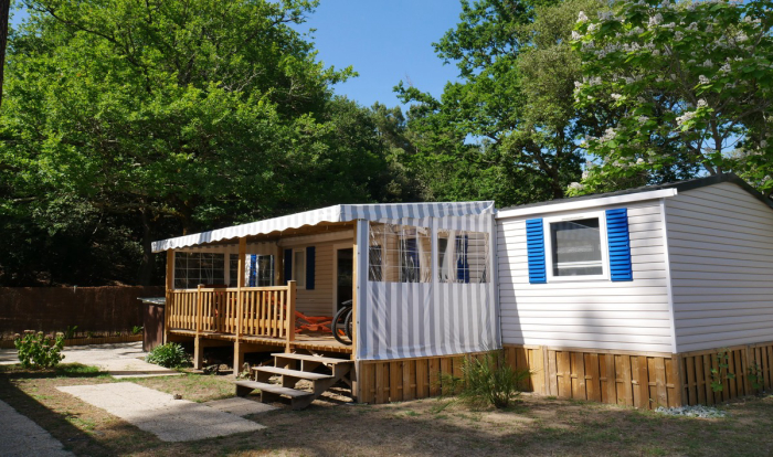 Camping - Ronce-les-Bains - Poitou-Charentes - La Pignade - Image #11