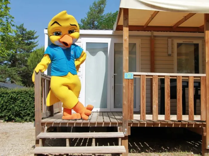 Camping - Gréoux-les-Bains - Provence-Alpes-Côte d'Azur - La Pinède