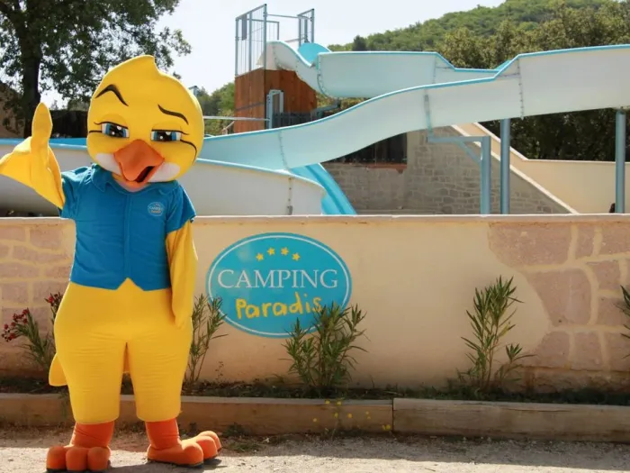 Camping - Gréoux-les-Bains - Provence-Alpes-Côte d'Azur - La Pinède