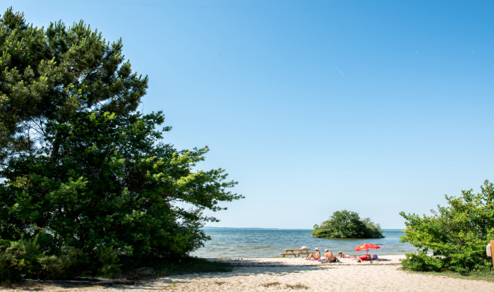 Camping - Gastes - Aquitaine - La Réserve - Image #12