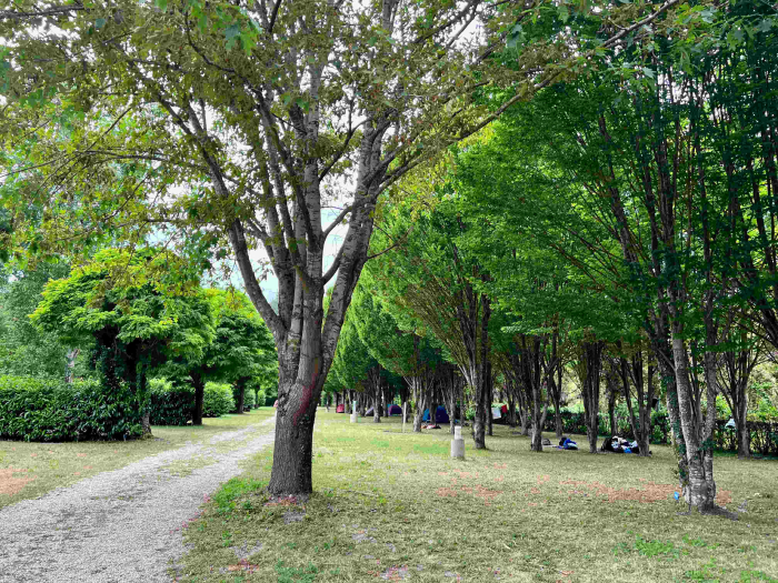 Camping - Bagneaux-sur-Loing - Ile de France - La Rivière Dorée - Image #9
