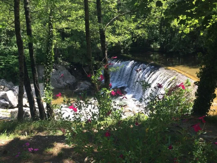 Camping - Lasalle - Languedoc-Roussillon - La Salendrinque