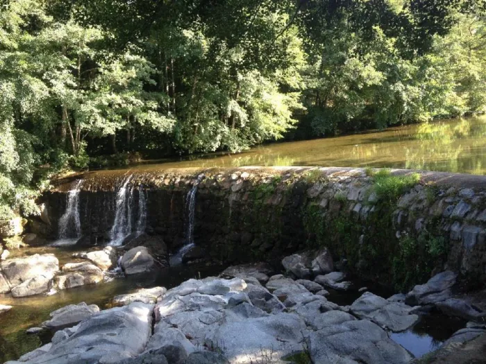 Camping - Lasalle - Languedoc-Roussillon - La Salendrinque