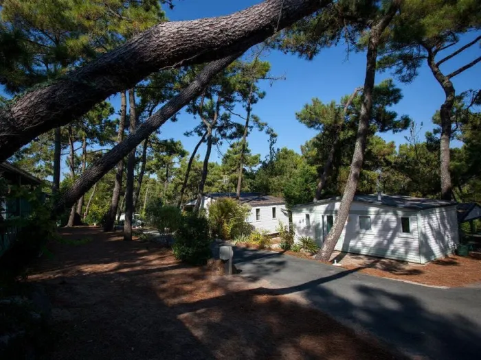 Camping - La Faute-sur-Mer - Pays de Loire - La Siesta