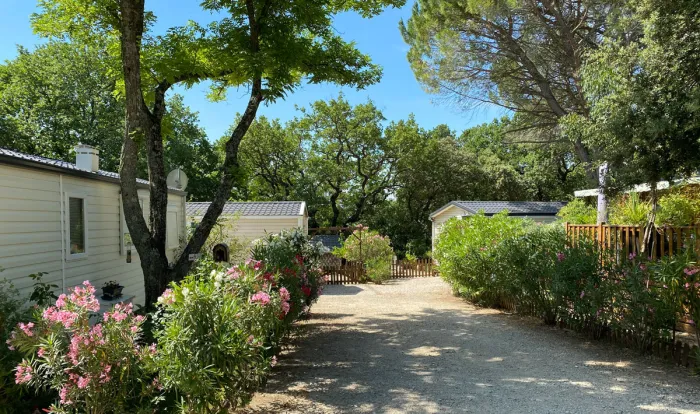 Camping - Bollène - Provence-Alpes-Côte d'Azur - La Vallée de Barry