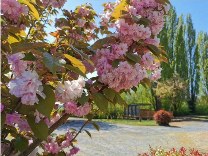 Camping - Montbazon - Grand Centre - La Vallée de l'Indre