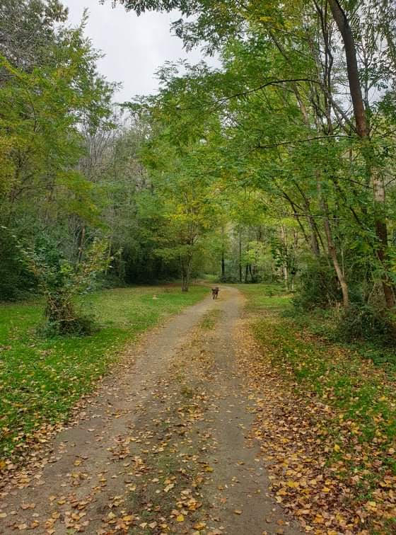Camping La Vallee De Roussy - Vabre
