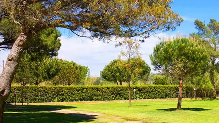 Camping - Ramatuelle - Provence-Alpes-Côte d'Azur - La Vigneraie 1860