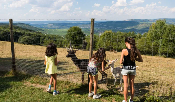 Camping - Leiwen - Rhénanie-Palatinat - Landal Sonnenberg