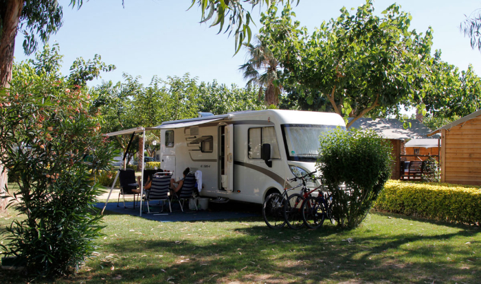 Camping - Sant Pere Pescador - Costa Brava - Las Palmeras - Image #8