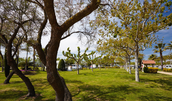Camping - Sant Pere Pescador - Costa Brava - Las Palmeras - Image #7