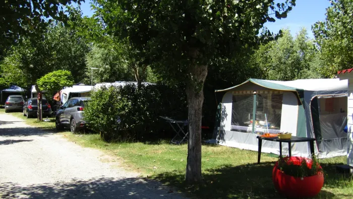 Camping - Notre-Dame-de-Monts - Pays de Loire - Le Bois Collin