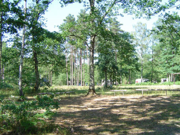 Camping Le Bois Des Forges - Cléré-les-Pins