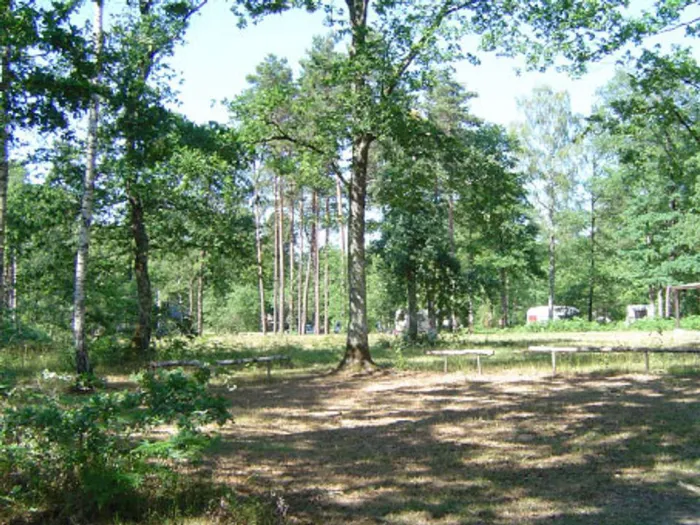Camping - Cléré-les-Pins - Grand Centre - Le Bois Des Forges