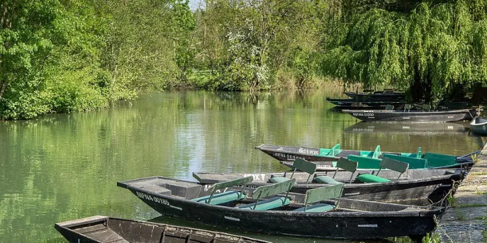 Camping - Marans - Poitou-Charentes - le Bois Dinot