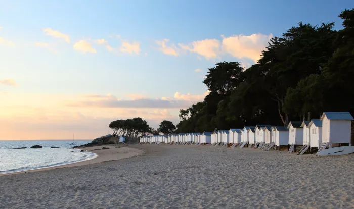 Camping - Saint-Jean-de-Monts - Pays de Loire - Le Bois Dormant