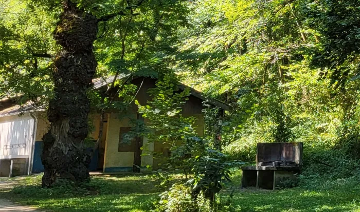 Camping - Lacrouzette - Midi-Pyrénées - Le Bois Flottant