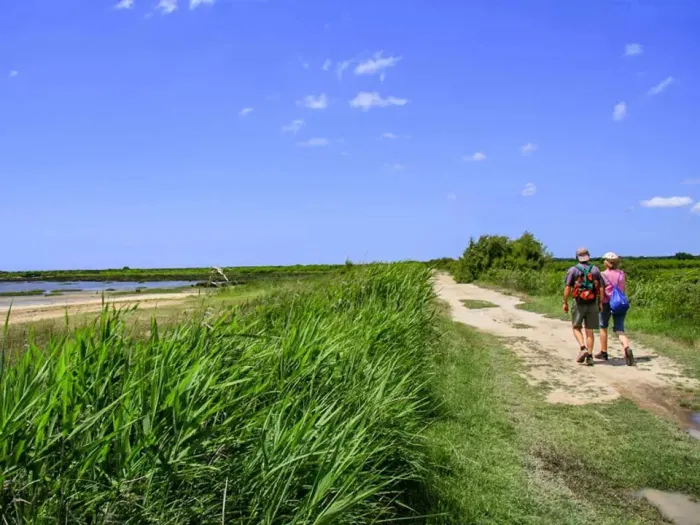 Camping - Audenge - Aquitaine - Le Braou